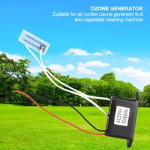 DC12V  Ozone Generator DIY Air Purifier Deodorant Fruit Vegetable Cleaning Tool (AC220V-240V 200mg) 2024 - buy cheap