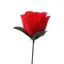 1pc Estágio romântico Close Up Magic Trick Tocha To Rose Tricks Chama de fogo popular que aparece flor venda quente 2024 - compre barato