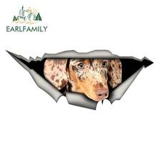 Earlfamily 13cm x 5.5cm duplo chocolate mini dachshund guiné etiqueta do carro rasgado decalque de metal adesivos reflexivos decalques do animal de estimação 2024 - compre barato