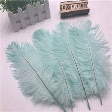 Holiday Decorations 10pcs beautiful  light blue ostrich feathers 6-8 inches/15-20 cm wholesale decoration 2024 - buy cheap