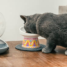 Нескользящая кормушка для кошек керамическая миска для кошек с поднятой стендой из Китая шейные защитные миски для еды для маленьких товары для домашних собак 2024 - купить недорого