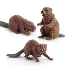 3 Kinds Small Beaver Animal Figure Collectible Toys Wild Animal Action Figures Kids Plastic Toys 2024 - buy cheap