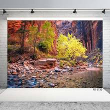 Wedding Baby Child Photography Spring Valley Green Tree Rock Mountain Stream Scenery Backdrops Photo Studio Background Props 2024 - buy cheap