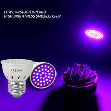 220V LED Grow Light Full Spectrum Indoor Fitolampy Phyto Lamp for Plants Hydroponics Flowers Vegetables Grow LED Spotlight 2024 - buy cheap