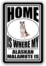 Садовый декор из Аляски, маламута, жестяная вывеска, украшение для подростковой комнаты, металлические пластины, постер фильма, винтажный Ретро, домашний плакат для собак Akita 2024 - купить недорого