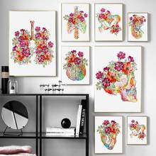 Flower Brain Heart Skull kidney skeleton Anatomy Wall Art Canvas Painting Nordic Posters And Prints Wall Pictures Office Decor 2024 - buy cheap