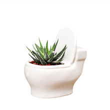 Vaso de plantas engraçado vaso de cerâmica, vaso de plantas em forma de suculentas, vaso de cerâmica bonsai, vaso de decoração de casa, mini vaso de mesa 2024 - compre barato