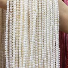 Wholesale Natural shell Beaded White Round shape craft shell loose beads For jewelry making DIY Bracelet necklace accessories 2024 - buy cheap