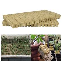 2Pcs Hydroponics Seed Seedling Grow Blocks Culture Base Medium Soilless Planting 2024 - buy cheap