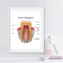 Печатная схема зубов человека, стоматологическая клиника, медицинское образование, биология, постеры, настенная живопись на холсте, декор для офиса 2024 - купить недорого