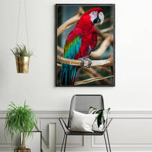 MUTU Beautiful Parrots Posters and Prints Wall Art Canvas Painting Wall Animal Art Pictures for Living Room Home Decor No Frame 2024 - buy cheap