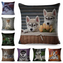 Cute Dog Printed Cushion Cover for Sofa Home Car Decor Pet Animal Siberian Husky Pillowcase 45*45cm Polyester Pillow Case 2024 - buy cheap