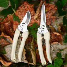 Stainless Steel Garden Scissors Plants Fruit Tree Pruning Shears Grafting Tool Flower Bonsai Pruner Gardening Secateurs Scissor 2024 - buy cheap