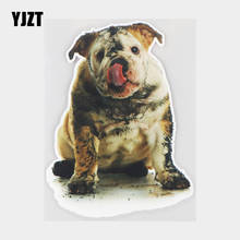 YJZT 13,5 × 18,7 см пакостник забавные животные на бампер украшения нуля прикуса автомобиля Стикеры 21A-0067 2024 - купить недорого