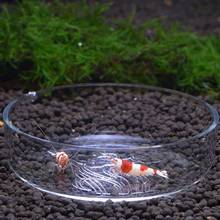 Transparent Glass Shrimp Feeding Food Round Dishes Small Fish Feeding Bowl Ornamental Supplies For Aquarium Fish Tank 2024 - buy cheap