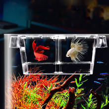 Behogar Fish Tank Hatchery Incubator Transparent Fish Tank Breeding Isolation Box with Suction Cups Aquarium Fish Breeder Box 2024 - buy cheap