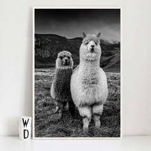 Vintage Poster Black White Animal Paintings On The Wall Retro Decoration Canvas Picture for Home Design Frameless Alpaca 2024 - buy cheap