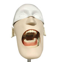 Cabeça de manequim com dentes dentários, modelo de dentista para ensino de medicina 2024 - compre barato
