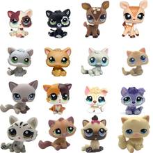 LPS CAT Old Littlest pet shop Cute Toys Mini Short Hair Kitten HIMALAYAN Kitty Husky Dog Spaniel Collie Great Dane Rare Figure 2024 - купить недорого