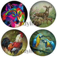 10 peças cabochão de vidro redondo animais, pássaros, raposa, papagaio, cervo, pintura a óleo imagem, cúpula de vidro, demonstração de fundo plano, achados 2024 - compre barato