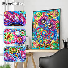 EverShine-pintura de diamantes de forma especial, dibujo animado de búho, bordado de diamantes de imitación de animales, imágenes de mosaico, parcial, arte de diamantes 2024 - compra barato