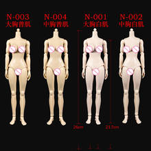 N001/N002/N003/N004 1/6 весы Женский бледно-органический чеснок, нормальный белый чеснок кожи Большой/средний бюст боди модель для детей возрастом от 12 ''фигурку голову лепить резные 2024 - купить недорого