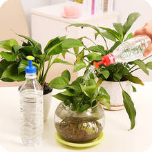 Portátil garrafa superior rega planta de jardim sprinkler água sementes mudas irrigação casa vaso planta waterer 2024 - compre barato
