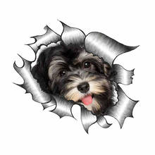 Pegatinas decorativas para coche, calcomanías Havanese para motocicleta, mascota, perro, cachorro, accesorios decorativos creativos de PVC impermeable, 13*12cm 2024 - compra barato