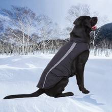 Светоотражающая ветровка для собак, уличная куртка, ветрозащитная одежда, светоотражающая уличная куртка для больших собак, утепленная теплая куртка 2024 - купить недорого