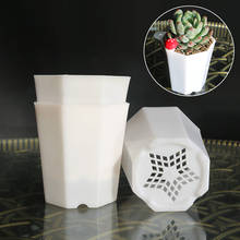 Vaso octagonal simples de cerâmica, 5 peças, vaso de plantas suculentas vaso de flor pequena para sala de estar, varanda, decoração da casa branca 2024 - compre barato