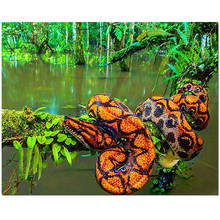 Diy алмазная живопись Boa Snake, квадратная круглая вышивка, мозаика 5D стразы, картина NumbersZP-4254 2024 - купить недорого