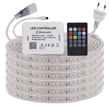 220v conduziu a luz de tira impermeável 5050 smd 60leds/m rgb bluetooth conduziu o diodo flexível exterior da fita da tira branco/branco morno 2024 - compre barato