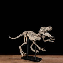Retro Dinosaur Skeleton Resin Crafts Simulation Animal Dinosaur Fossil Ornaments Archaeological Excavation Model Decor 2024 - buy cheap