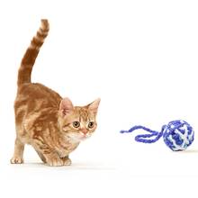 Игрушечный мяч для кошек, плюшевый интерактивный устойчивый к укусам мяч для домашних животных, игровой мяч для бросания, смешная фотоигрушка, товары для кошек и котят 2022 - купить недорого