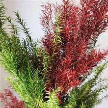 80g/25-40cm,Natural Preserved Melaleuca Display Dried Flowers Bouquet,Eternal Decorative Grass for Wedding Party Home Decoration 2024 - buy cheap