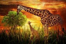 Jmine div 5d girafa árvore completa diamante pintura ponto cruz kits arte alta qualidade animal pintura 3d por diamantes 2024 - compre barato