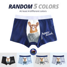 5 Pcs/lot Cotton Shorts boys Underwear Kids Underwear Boxer briefs Panties Cartoon Pattern Soft Children's Teenager 2024 - buy cheap