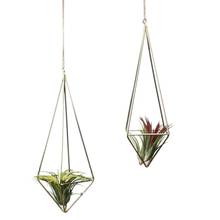 Hanging Tillandsia Air Plants Freestanding Wall Tillandsia Plants Rack Rustic Metal Wrought Iron Geometric Plant Holder est 2024 - buy cheap