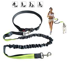 Reflective Dog Leash Running Hand Free Pet Leads for Dogs Retractable Waist Leashes Walking Dogs Traction Rope Pet Supplies 2024 - buy cheap
