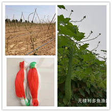 Yam-capa de frijol de pepino, Red de escalada de plantas, Red de mimbre para horticultura, 2m x 50m, 70m, 100m 2024 - compra barato