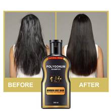 Natural Shampoo Darkening Shampoo Treatment Nourish Oil Control Anti-Dandruff Hair Growth Natural Shampoo 2024 - buy cheap