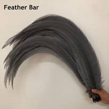 Grey Dyed Pheasant Silver Feather 75-80cm Super Long Natural Lady Amherst Pheasant Tails Pluma Brazil Carnival Decoration Crafts 2024 - buy cheap