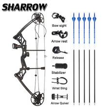 1 Set Archery 30-70 lbs Compound Bow IBO 320 fps Fishing Shooting Ourdoor 16-31inch Hunting Bow Draw Length Sports Bow And Arrow 2024 - buy cheap