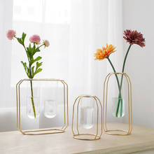 Terrarium Nordic Hydroponic Plant Vase Iron Line Glass Vases Flower Pot Container Office Desktop Home Decoration Modern jarrones 2024 - купить недорого