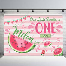 Pano de fundo melancia, rosa, verão, frutas, doce, uma em um melão, 1 ° aniversário, festa, decoração, fotografia, plano de fundo 2024 - compre barato