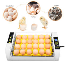 Incubadora de 24 huevos totalmente automática, Incubadora de aves de corral, Control de humedad con volteador de huevos, enchufe de la UE/EE. UU./Reino Unido 2024 - compra barato