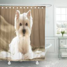 Dog west highland white terrier retrato adotar animal solicitando cortina de chuveiro de poliéster 60x72 polegadas conjunto com ganchos 2024 - compre barato