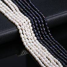 Cuentas sueltas de perlas en forma de arroz de agua dulce de 3-4 Mm para pulsera DIY, pendiente, collar, accesorio de joyería artesanal de costura 2024 - compra barato