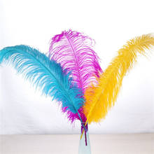 Atacado 24-26-Polegada (60-65cm) penas de avestruz grande pólo natural tingido carnaval decoração plumas para artesanato festa de casamento decorações 2024 - compre barato