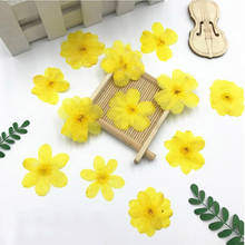 250pcs Pressed Dried Yellow Jasmine Flower Plant Herbarium For Jewelry Postcard Invitation Card Phone Case Bookmark Making DIY 2024 - buy cheap